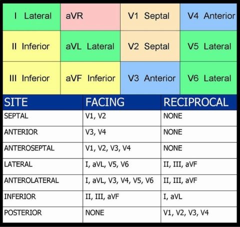 HISAL ECG interpretation quick-reference chart
